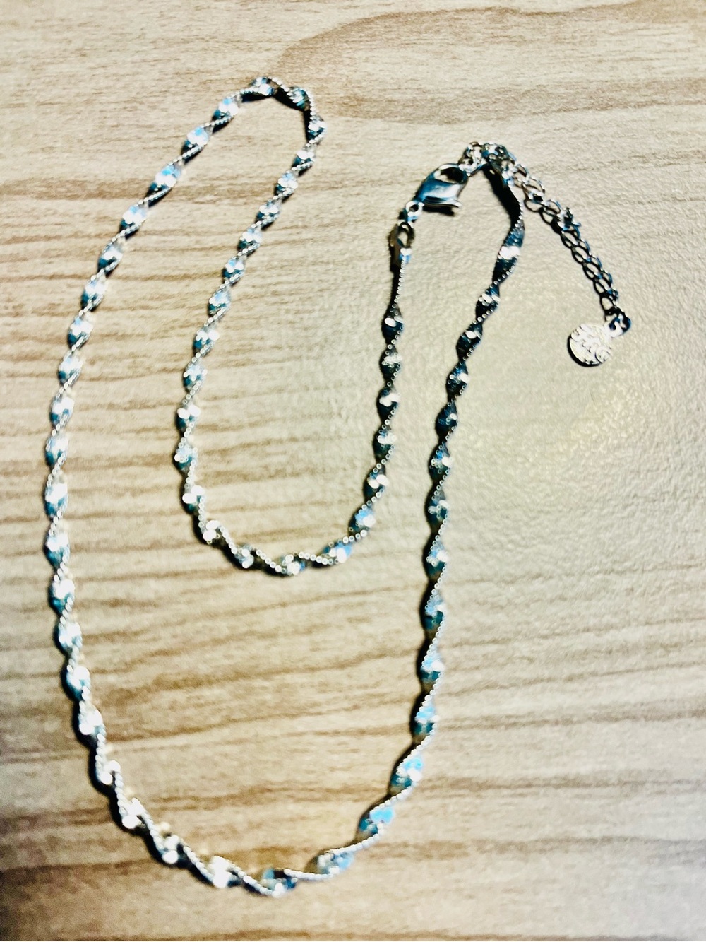 Silver Twisted Chain Necklace